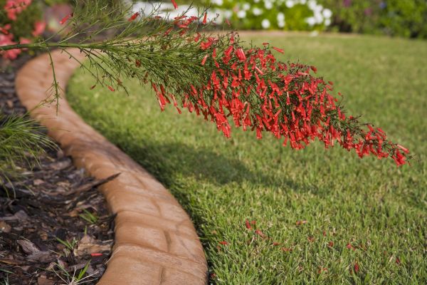 Brick Edging in Grove City